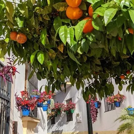 Holiday home Casa Gibraltar